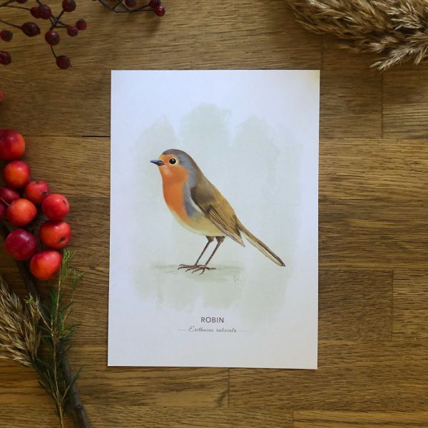 Robin art print